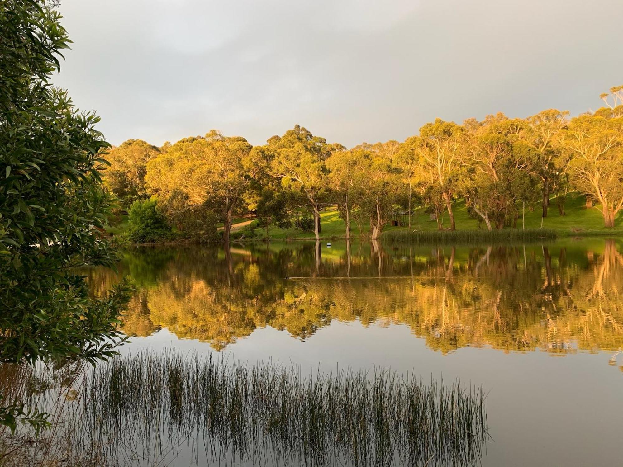 Iluka Retreat Hotel Red Hill South Bagian luar foto